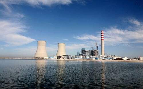 國(guó)投電力的介紹