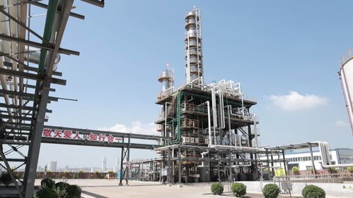 總投資4.7億 樂(lè)亭這個(gè)循環(huán)經(jīng)濟(jì)項(xiàng)目迎來(lái)新進(jìn)展